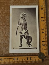Crazy taxidermy fox for sale  Denver