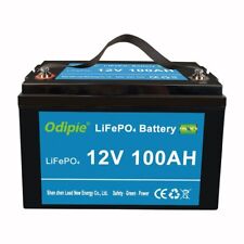 Batteria lifepo4 ricaricabile usato  Monselice