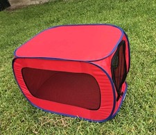 Sport pet red for sale  Plano