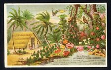 Tropical home mme for sale  Hemet