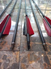 Carbon arrows sp600 for sale  DUNDEE
