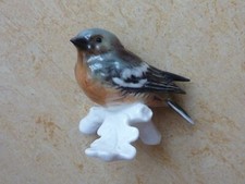 Vogel ast sitzend gebraucht kaufen  Wallersdorf