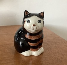 moggie for sale moggie for sale CHELMSFORD