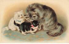 Chats chat fg35111 d'occasion  France