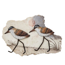 Shorebirds sandpipers wall for sale  Rapid City