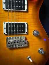 Guitarra elétrica PRS CE 24 EUA comprar usado  Enviando para Brazil