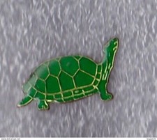 Pin turtle d'occasion  Expédié en Belgium