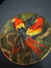 macaw plate for sale macaw plate for sale RUGBY