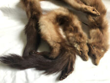 Vintage brown sable for sale  BLAENAU FFESTINIOG