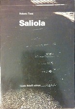 Saliola roberto tassi usato  Marano sul Panaro