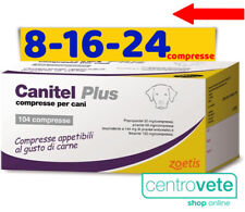 Cani tel plus usato  Arborea