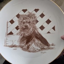 Yorkshire terrier yorkie for sale  Stockton