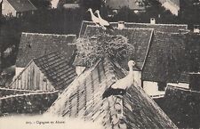 Cigognes alsace 88070 d'occasion  Vasles