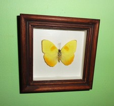 Vintage wood framed for sale  Tampa