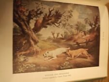 Vintage 1946 hunting for sale  LLANELLI