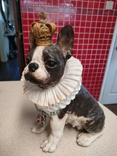 French bull dog for sale  BRADFORD