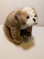 Winston english bulldog for sale  Hempstead