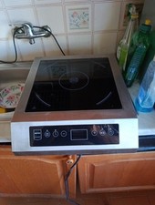 Piastra induzione professional usato  Cascina