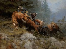 Grizzly mountain tela usato  Spedire a Italy