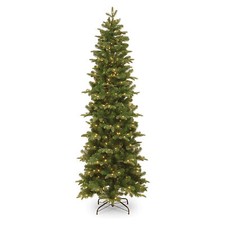 National tree company for sale  Lincoln
