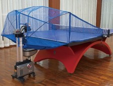 Paddle palace robot for sale  Chino