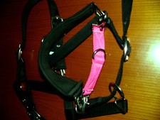 Verstellbares longierhalfter gebraucht kaufen  Schongau