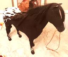 Native american girl for sale  New Fairfield