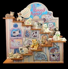 enesco calico kittens for sale enesco calico kittens for sale Breinigsville