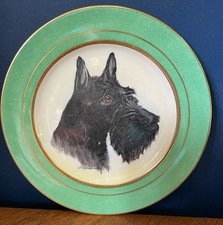 Paragon china handpainted for sale  NUNEATON