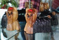 Timmy woods yorkie for sale  West Chester