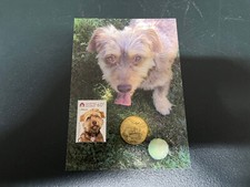 (844) 28-4-25 - Australian Dog - Maxicard (moeda correspondente Big Thing Blue Heeler) comprar usado  Enviando para Brazil