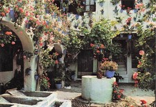 Espagne marbella costa d'occasion  France
