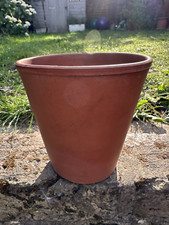 Premium terracotta plant for sale  LONDON