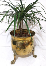 Large antique brass for sale  ROCHDALE