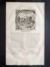 Two dogges strive usato Two dogges strive usato  Roma