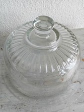 Alte glashaube glasglocke gebraucht kaufen  Schömberg
