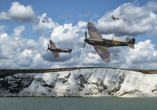 Spitfires dover cliffs for sale  SPALDING