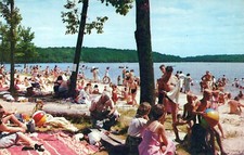 Picnic gardens beach for sale  Warminster