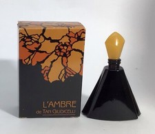 Ambre tan giudicelli d'occasion  Étaples