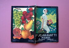 Sgaravatti piante catalogo usato  Italia