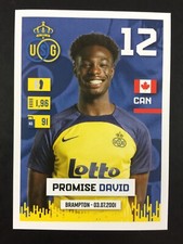 Promise david rookie usato  Spedire a Italy