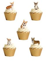 Stand corgi dog for sale  WITNEY