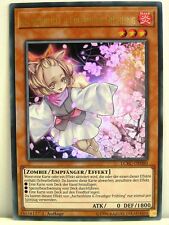 Legendary collection kaiba gebraucht kaufen Legendary collection kaiba gebraucht kaufen  Kerpen