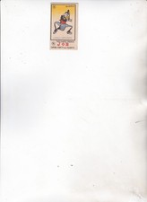 cicala usato  Italia