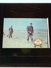Farbdia agfacolor wk2 gebraucht kaufen  München