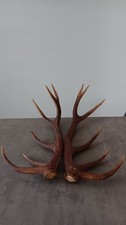Paire bois cerfs d'occasion Paire bois cerfs d'occasion  Tarbes