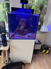 Red sea max gebraucht kaufen  Aurich