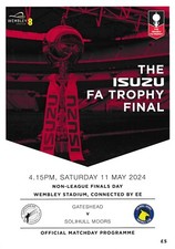 2024 trophy vase for sale  LONDON