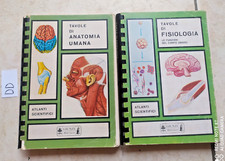 Tavole anatomia umana usato  Torino