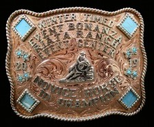 Novice horse champion for sale  Mayfield